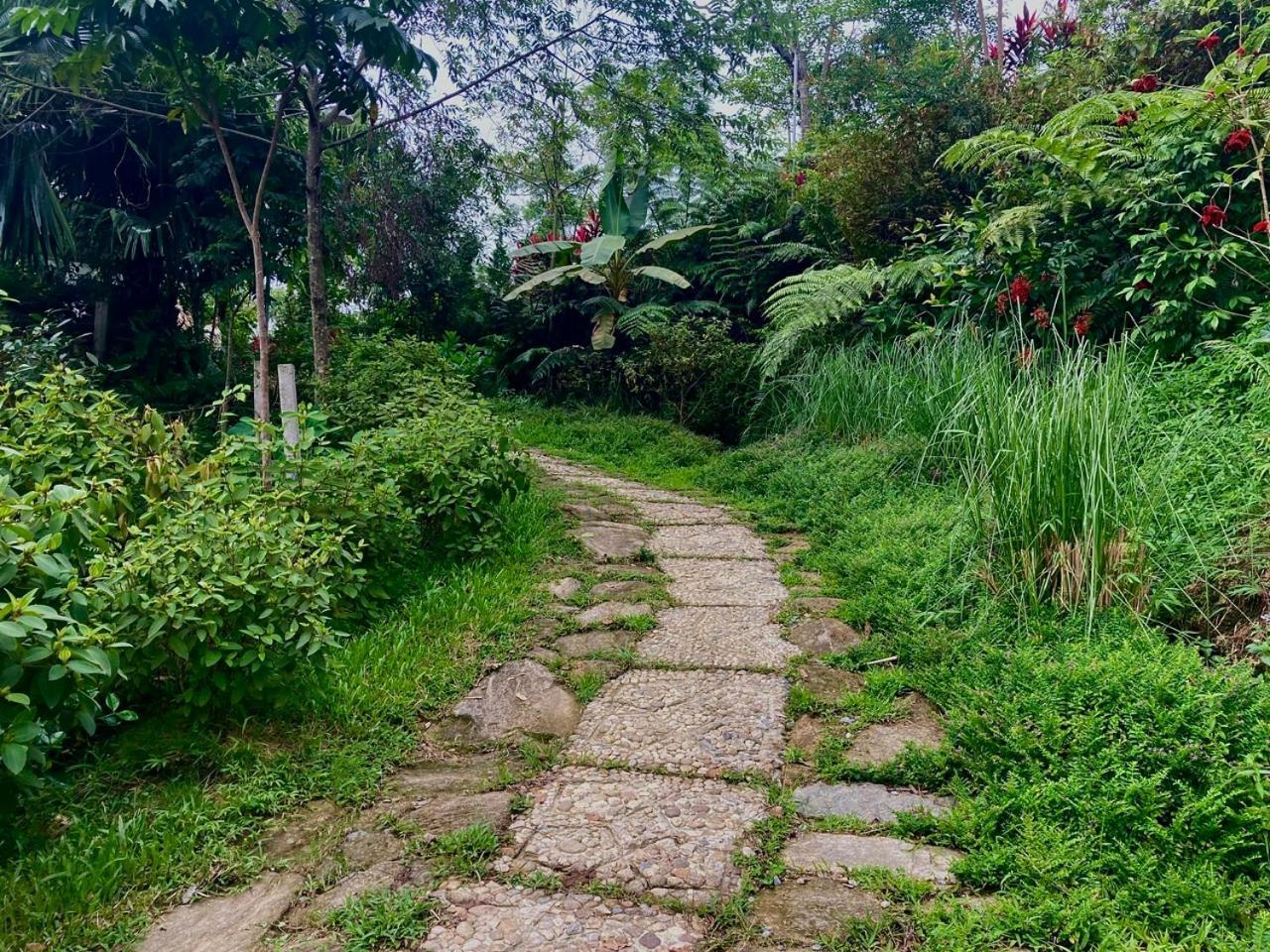 Tvpalm Ecolodge Ha Giang Exterior foto